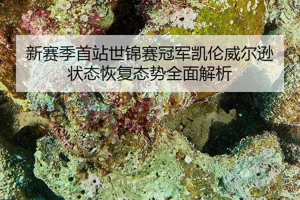 xin-sai-ji-shou-zhan-shi-jin-sai-guan-jun-kai-lun-wei-er-xun-zhuang-tai-hui-fu-tai-shi-quan-mian-jie-xi-3-895.jpg